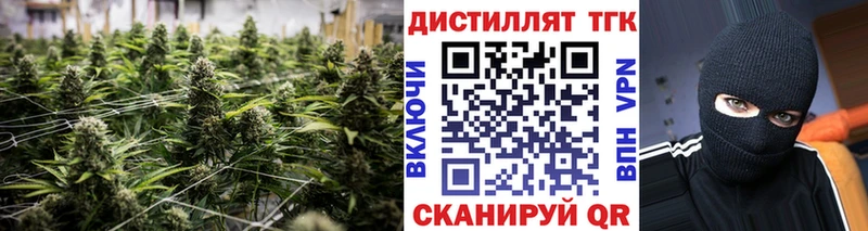 Дистиллят ТГК концентрат  Купить закладки  Безенчук 